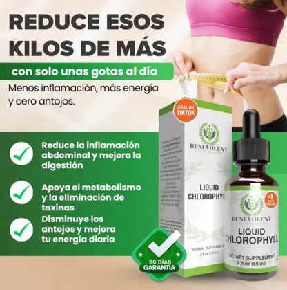 Clorofila Liquida Benevolet 2X1 - Ayuda a desinflamar