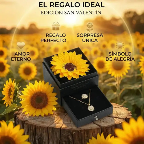 Collar Girasol + Estuche de Girasol incluido 🎁